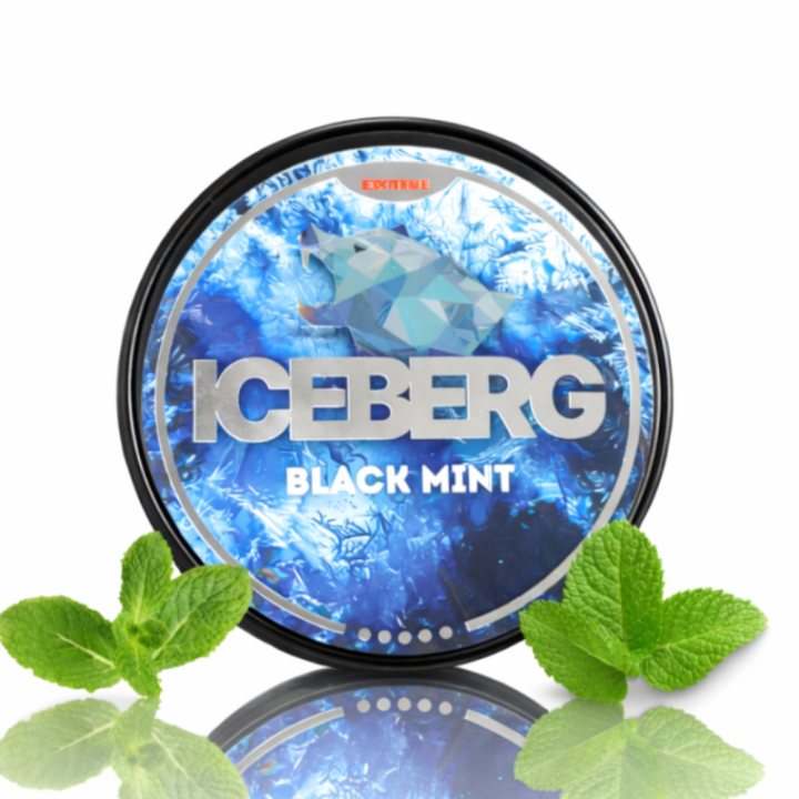 Iceberg Black Mint – 50MG