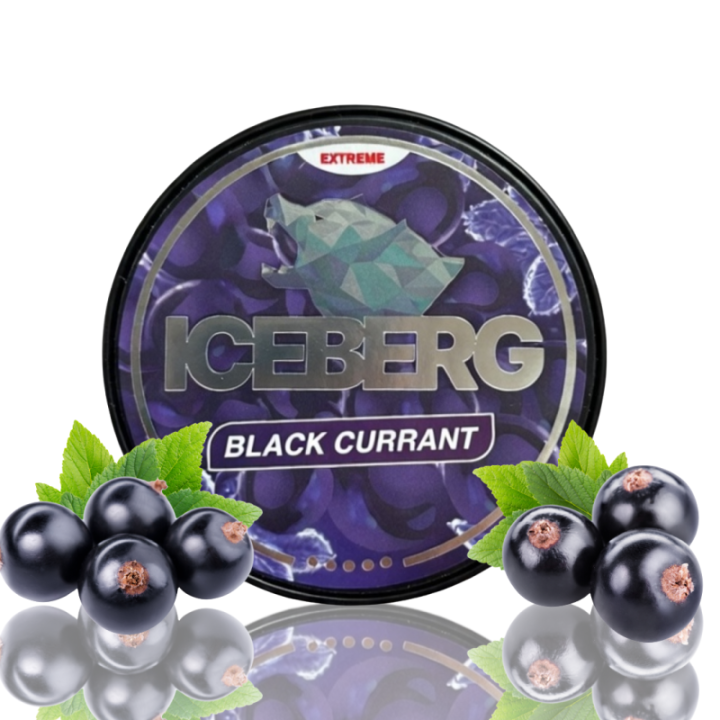 Iceberg Black Currant – 50MG