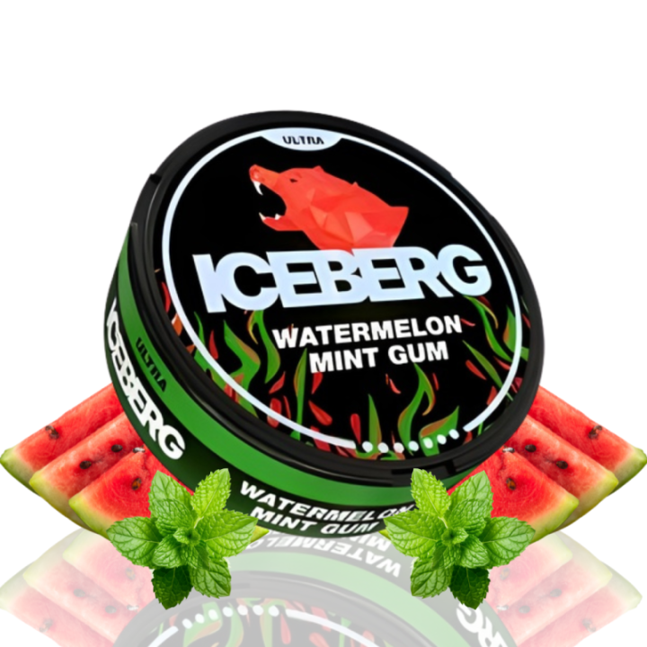 ICEBERG Watermelon Mint Gum – 70MG