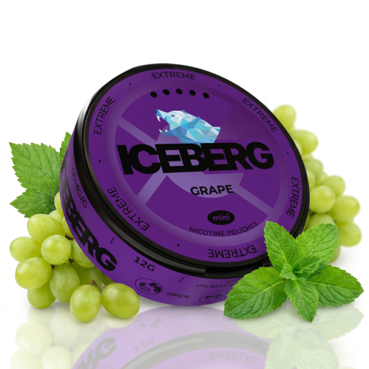 Iceberg Mini Grape – 50MG