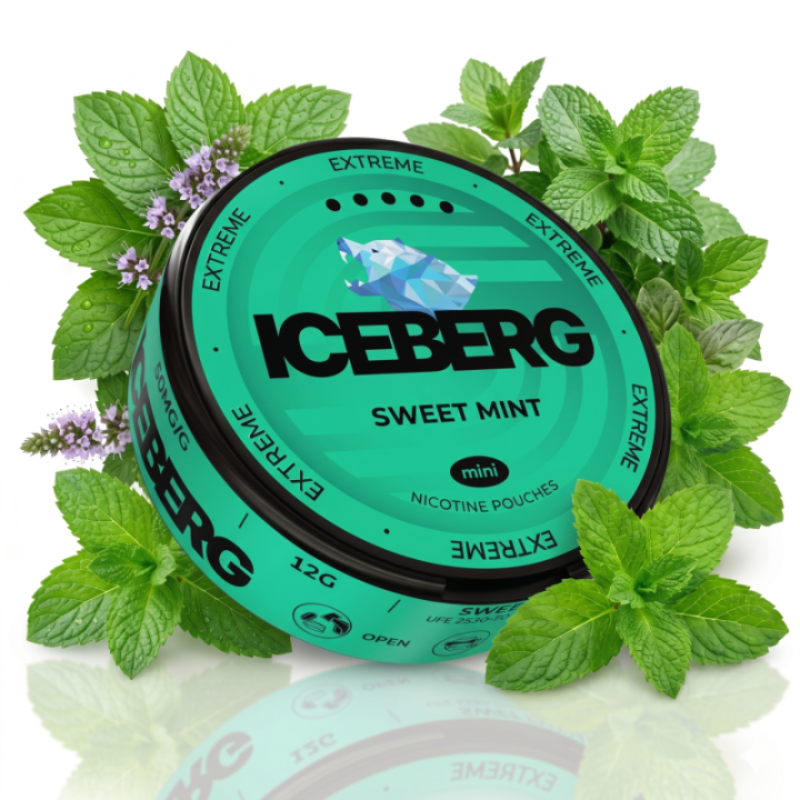 Iceberg Mini Sweet Mint – 50MG