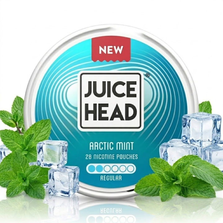 JUICE HEAD ARCTIC MINT REGULAR - 8MG