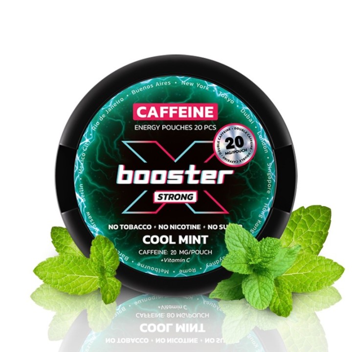 X-BOOSTER Cool Mint - 20MG
