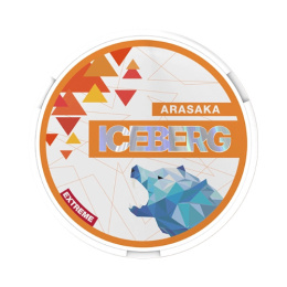 ICEBERG ARASAKA