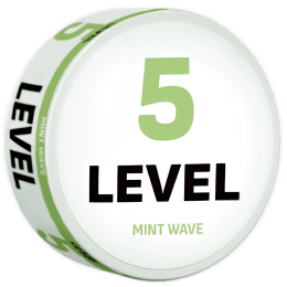 LEVEL MINT WAVE 5 mg/g