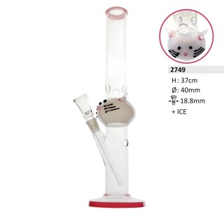BONGO 2749