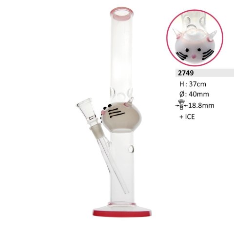BONGO 2749